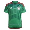 Camiseta de fútbol México Primera Equipación Mundial 2022 - Hombre